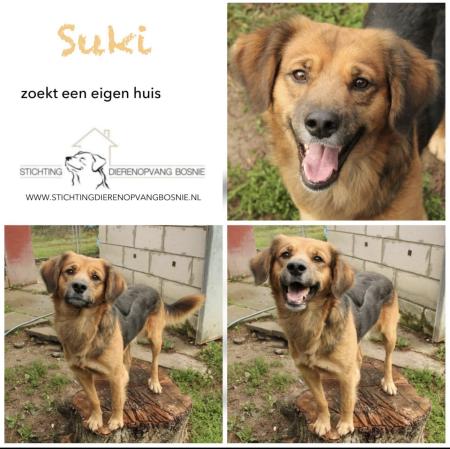 Suki