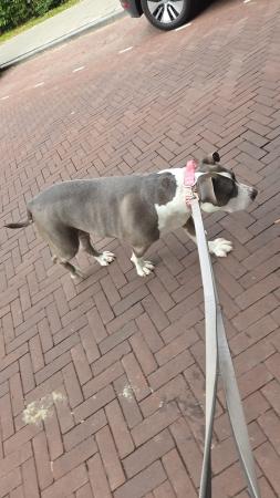 Fiona