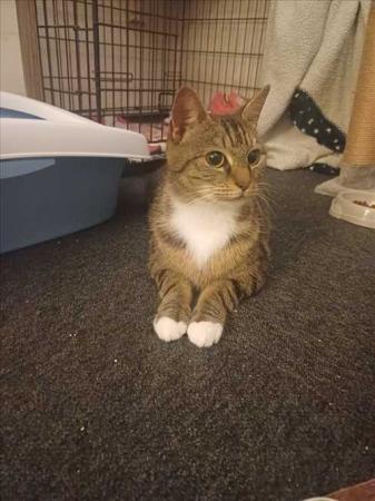 Mimi